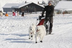Lenk 2012 SM